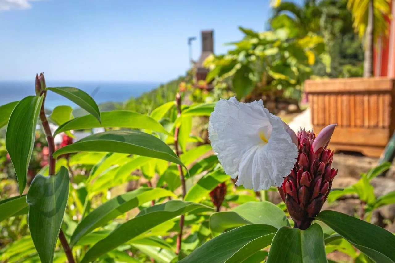 Villa Romantique Avec Vue Mer Et Piscine Partagee A Deshaies Guadeloupe